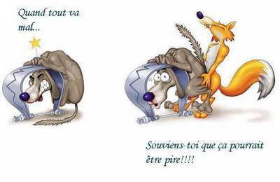 msquine t9olbe o safi